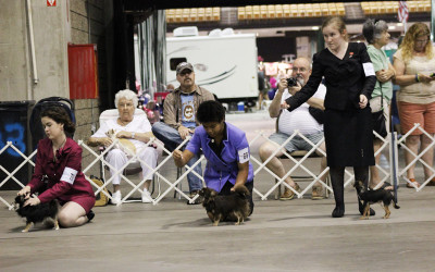 TBCC 55th Specialty