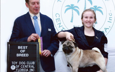 Welcome To The Pug Ring