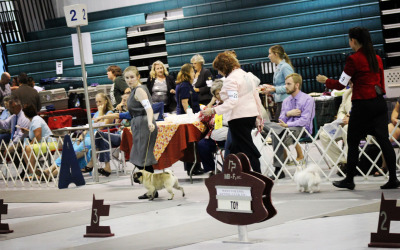 All-Breed Groups Ring