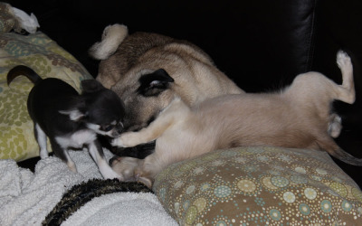 She’s a Feisty One!