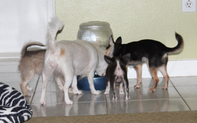 Hangin’ Around The Water Cooler
