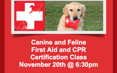 Canine CPR – CHECK!