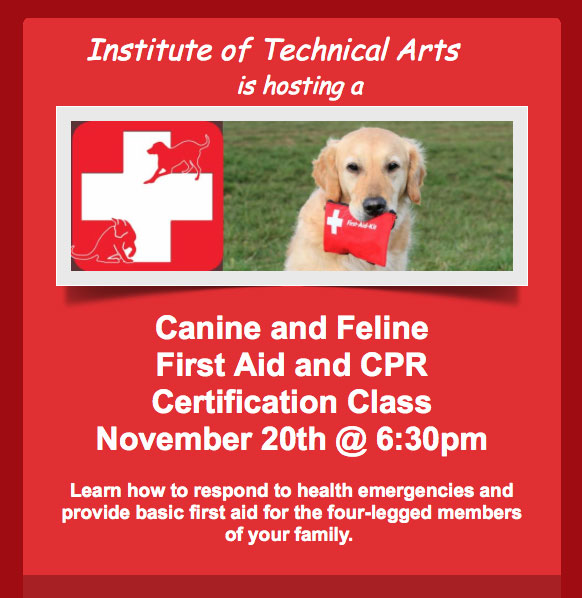 Canine CPR – CHECK!