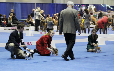 MAJOR Lessons Learned at the Specialty