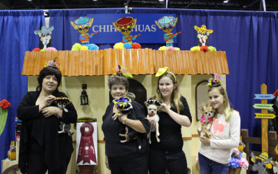 Meet The Breeds ROCKED!