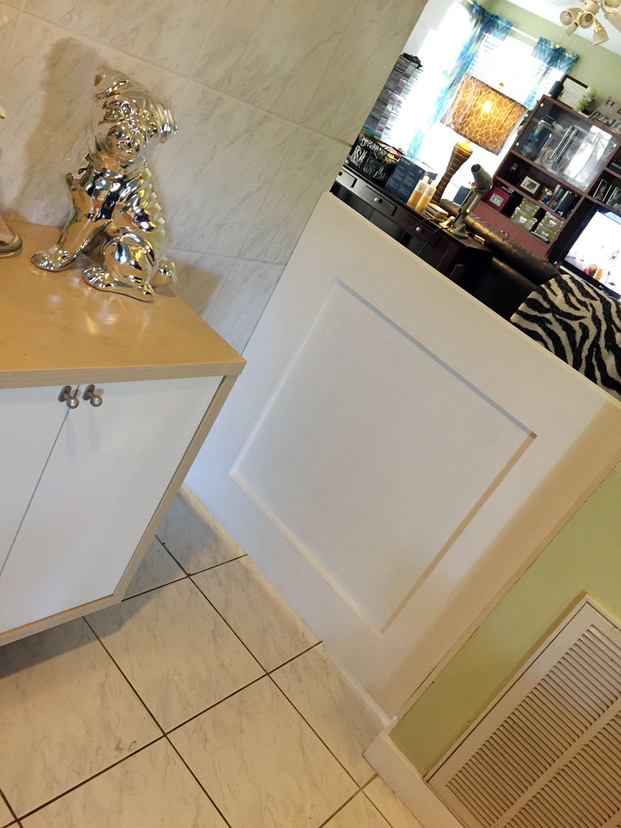 New Dog Gates Figgy's Chihuahuas AKC Show Breeder/Handler in Florida