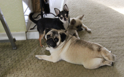 Whacha Doin’?