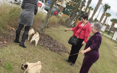 With Pup(s)