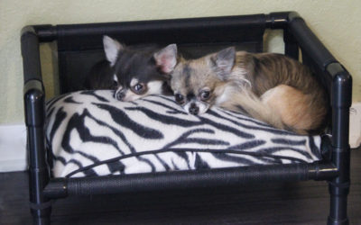 Bostonista Beds ROCK!
