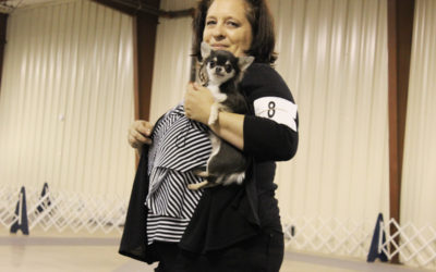 Breeder’s Sweepstakes