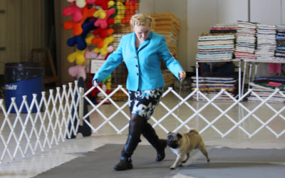 A Gimme Breed Kinda Day