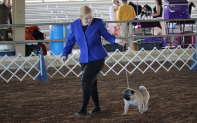 Wow! What an Awesome Day in Breed