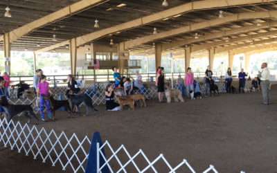 Junior Seminar
