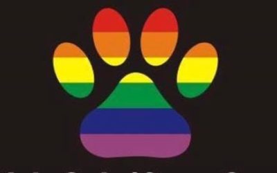 Paws For Pulse