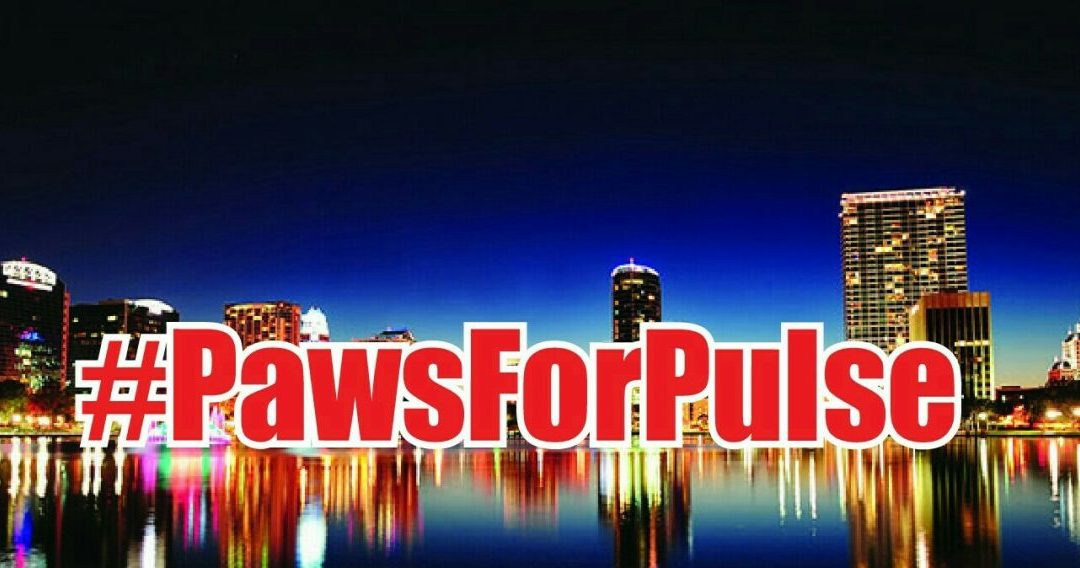 Amazing Day – Paws for Pulse  Was A True Success