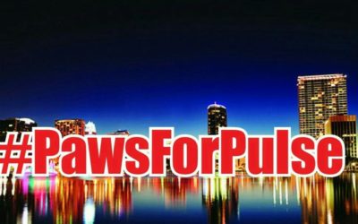 Amazing Day – Paws for Pulse  Was A True Success