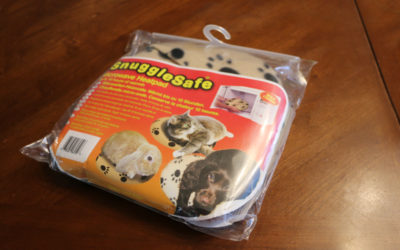 A Tiny Puppy Must Have
