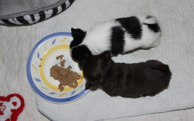 Time To Feast