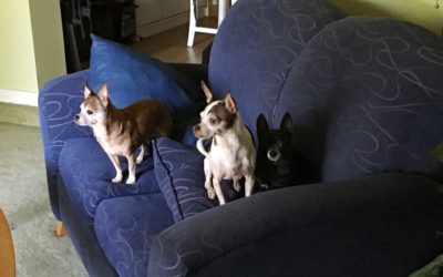 And So They Wait