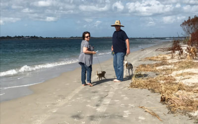 A Day At The Beach