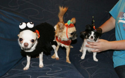 Happy Halloween