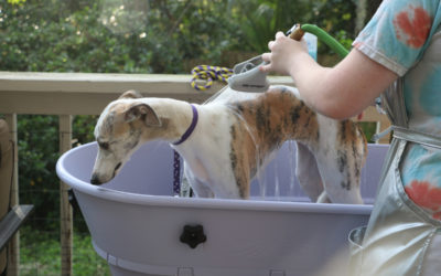 Speaking of Baths