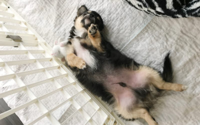 Just Look At Him!