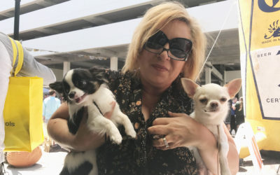 Running of the Chihuahuas