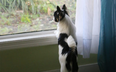 It’s A Big World Out There
