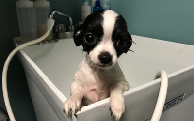 Big Boy Bath Time