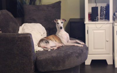 Queen On Her Throne