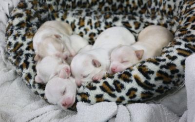 Just Look At Them!