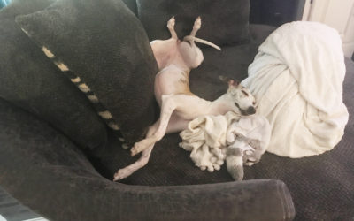 You Think She’s Comfy?
